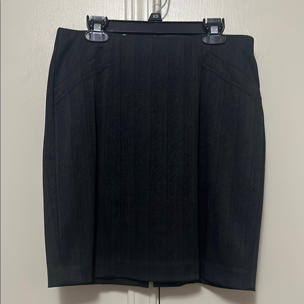 Express brand Elegant Black Skirt